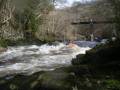 Melte 01-04-06 016 